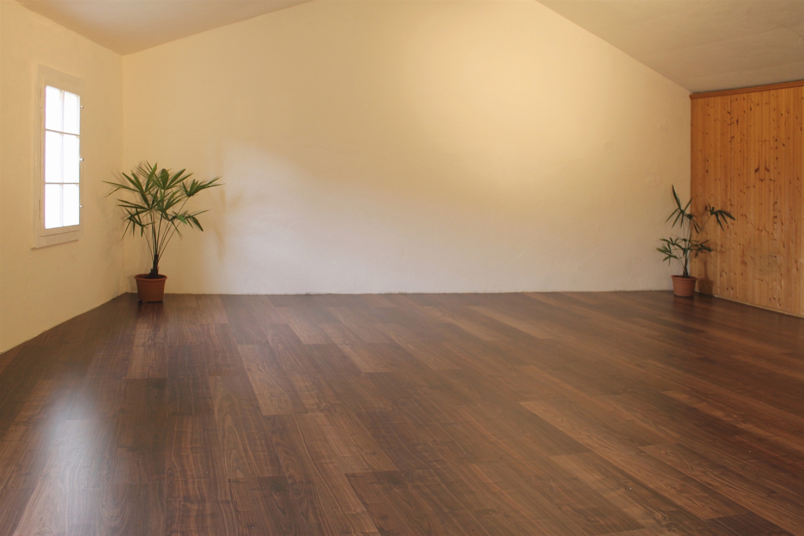 Der Yoga-Saal (70 m²)